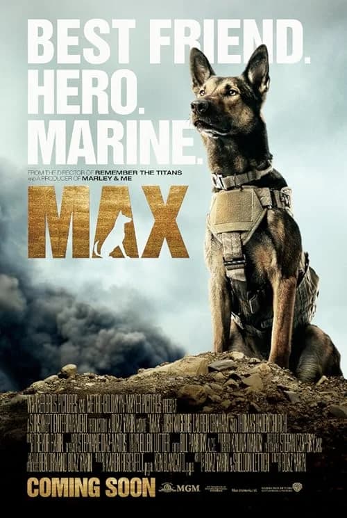 Max film posteri